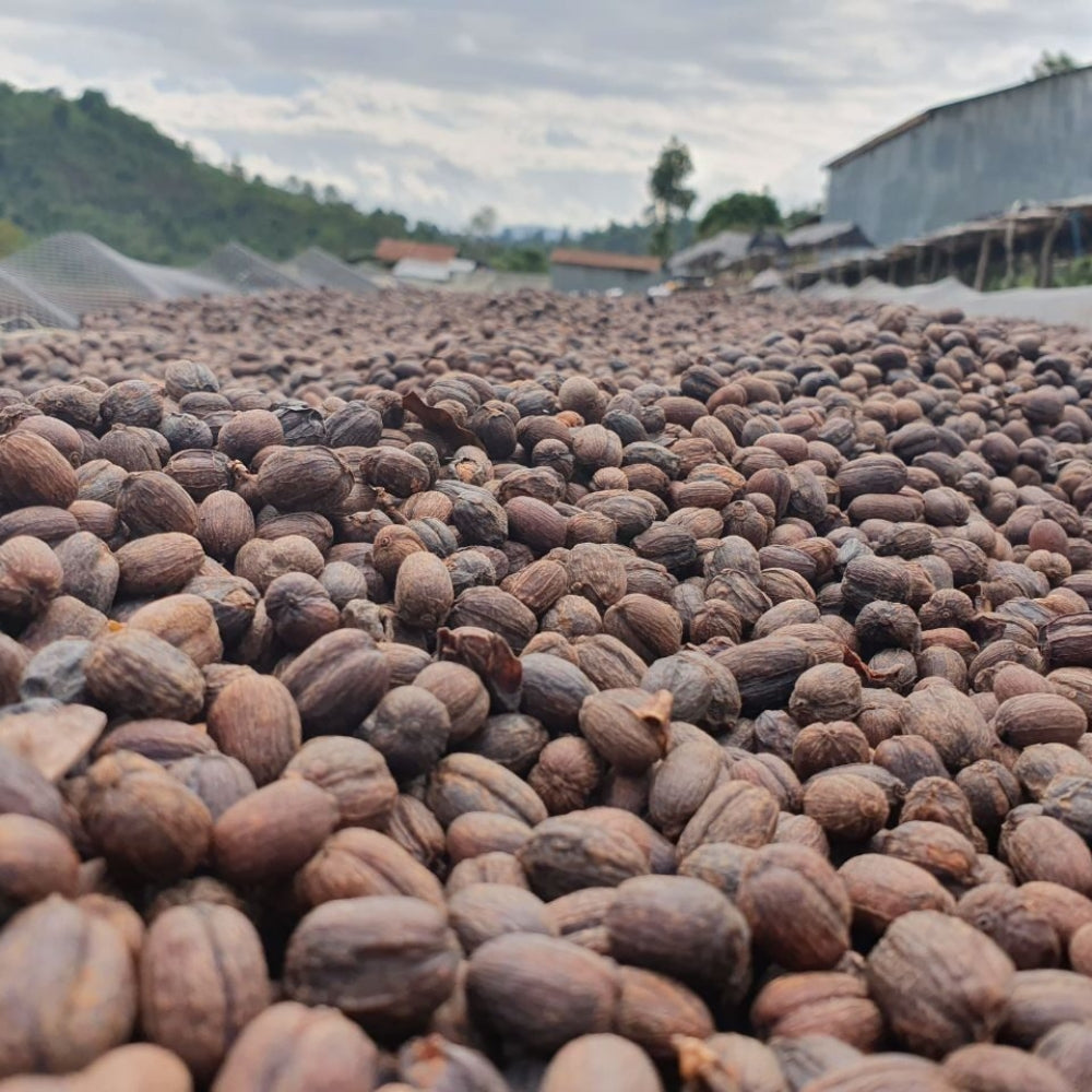 Fair Trade Bio Zrnková káva Etiópia Sidamo 250 g